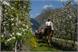 horse riding tour in spring