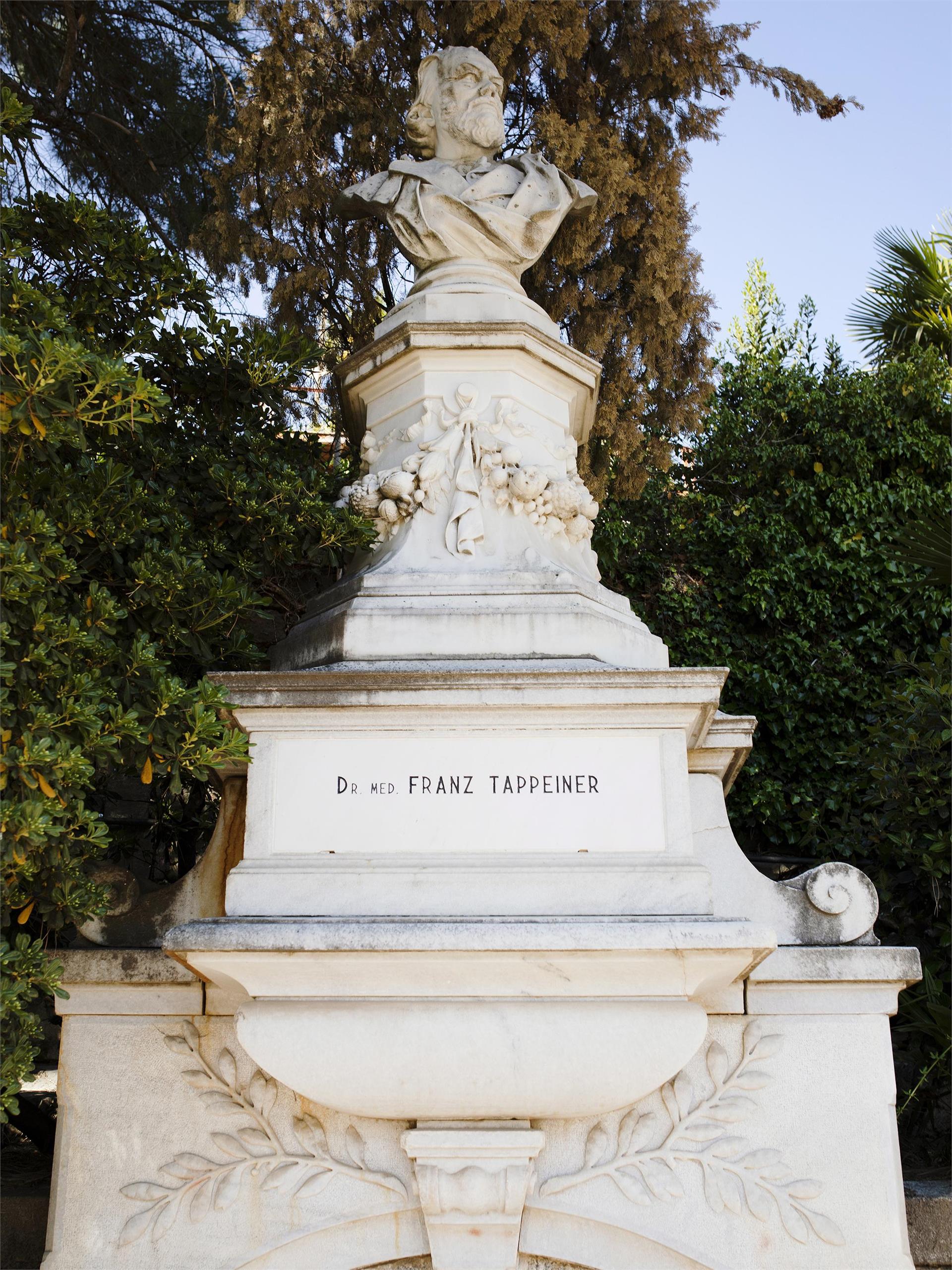 Dr. Franz Tappeiner Denkmal