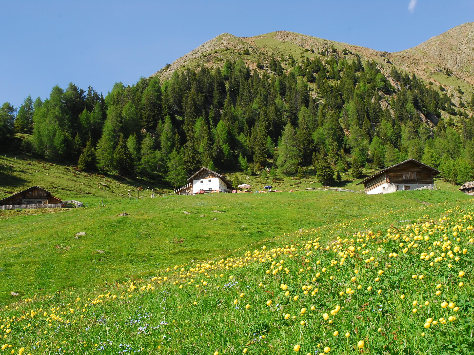 Über den Almenweg zur Mahd Alm