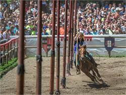 Riding Tournament Oswald von Wolkenstein