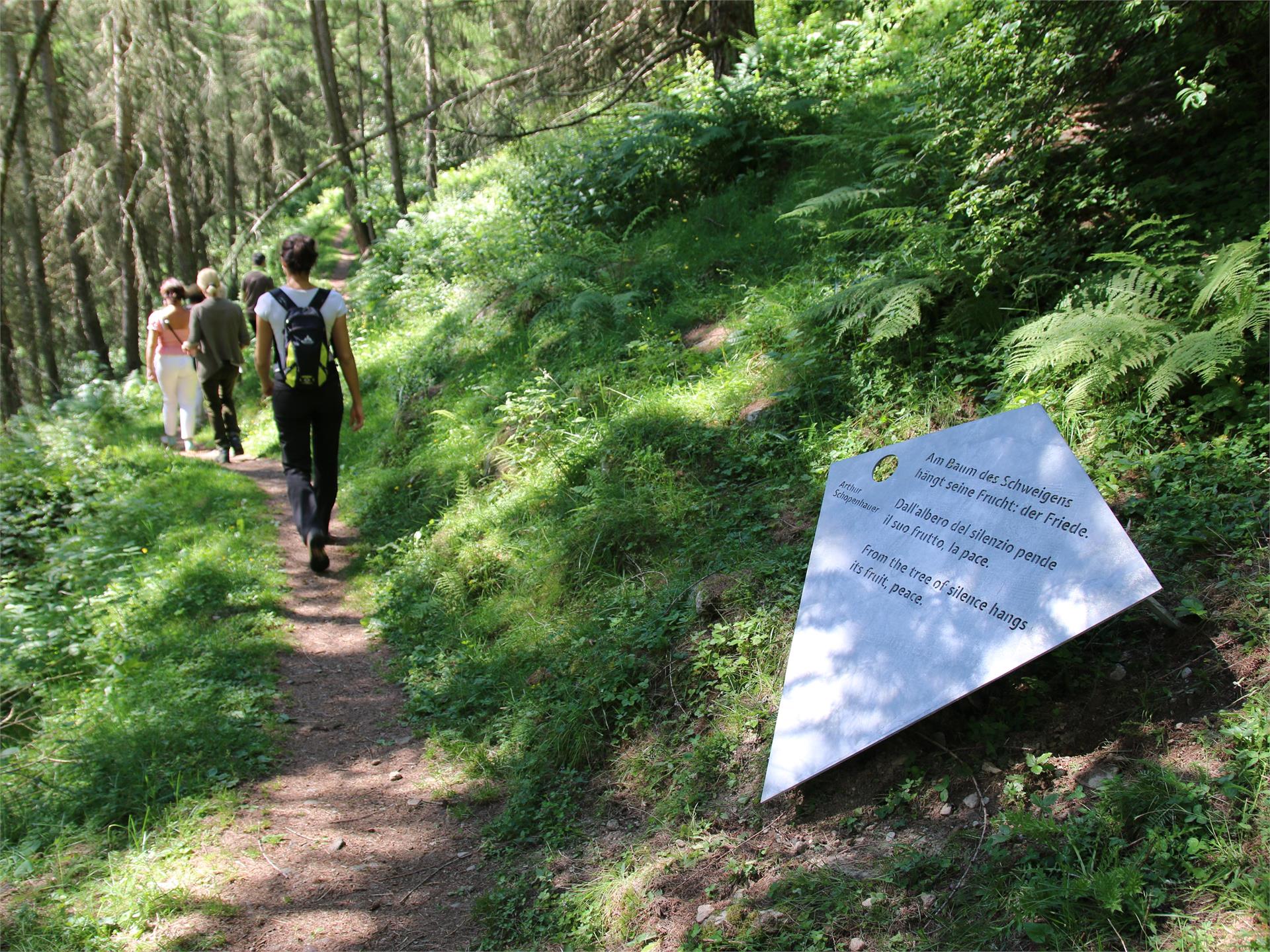 Hiking trail Via Monachorum from Madonna di Senales to Monte S. CaterinaWay of silence