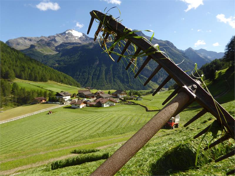 Vivere il maso Oberhof in Alto Adige
