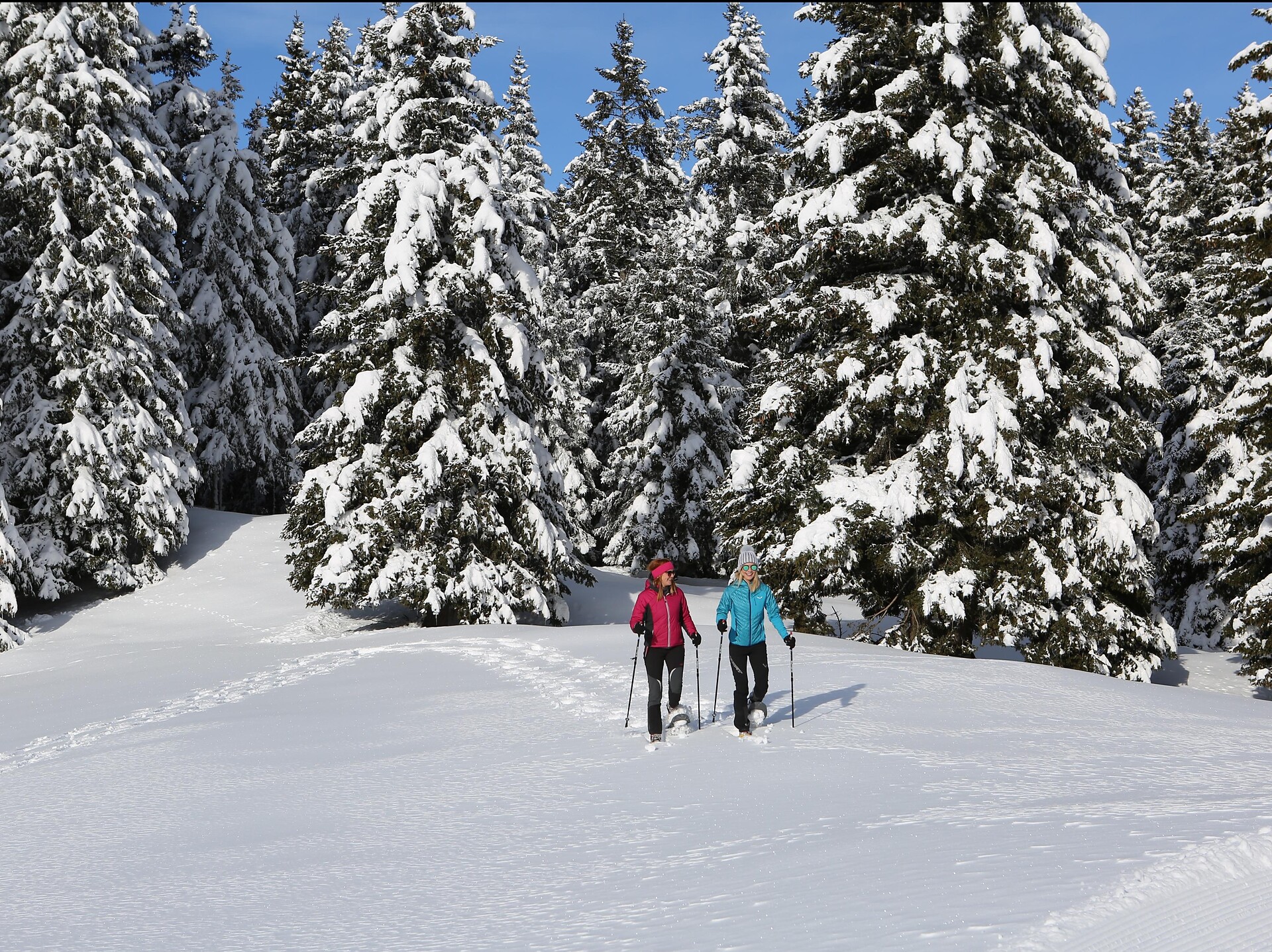 Escursione intorno al Monte San Vigilio