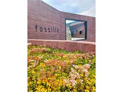 Fossil museum