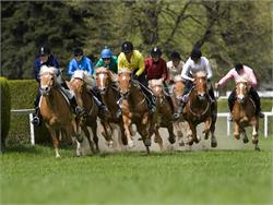 128th Traditional Haflinger horse races and procession