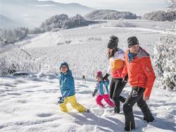 Geführte Winter-Almwanderung