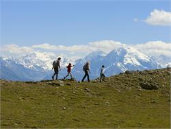 Punti panoramici - Escursione guidata nel Parco Nazionale dello Stelvio