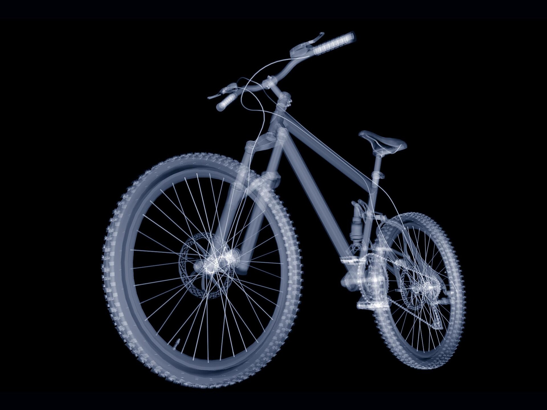 Rental Bike South Tyrol