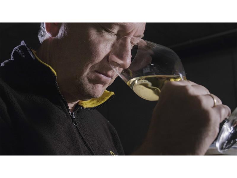 Tasting young wines from the barrel is an act of maximum concentration