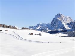 Guided hiking tour - Zallinger Hut