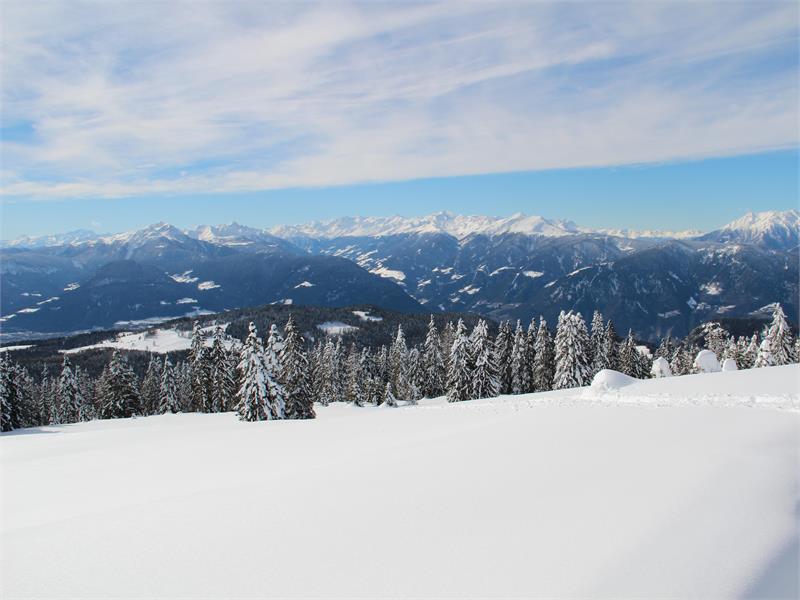 Panoramic view from the Vöraner Alm Mountain hut