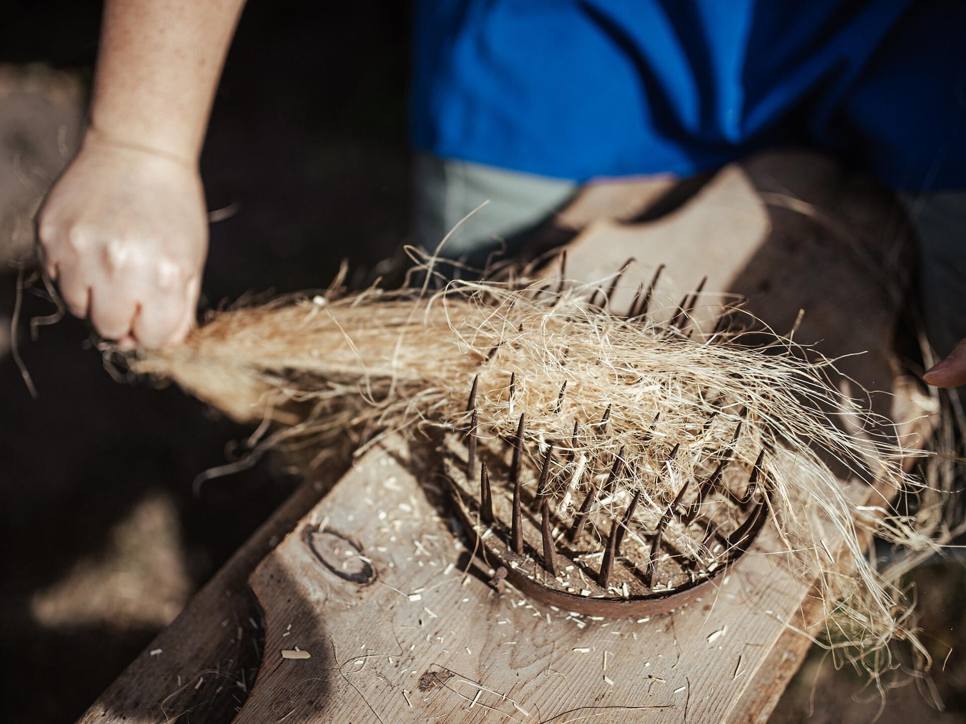 Theme day - "Flax: from plant to fabric"