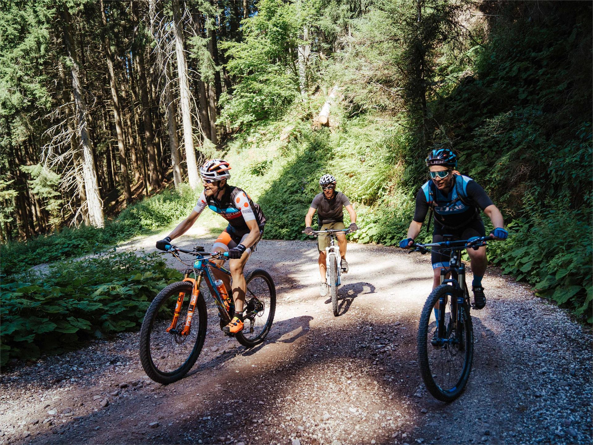 Parco Naturale Monte Corno: percorso circolare in mountain bike