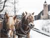 Carriage rides with horses