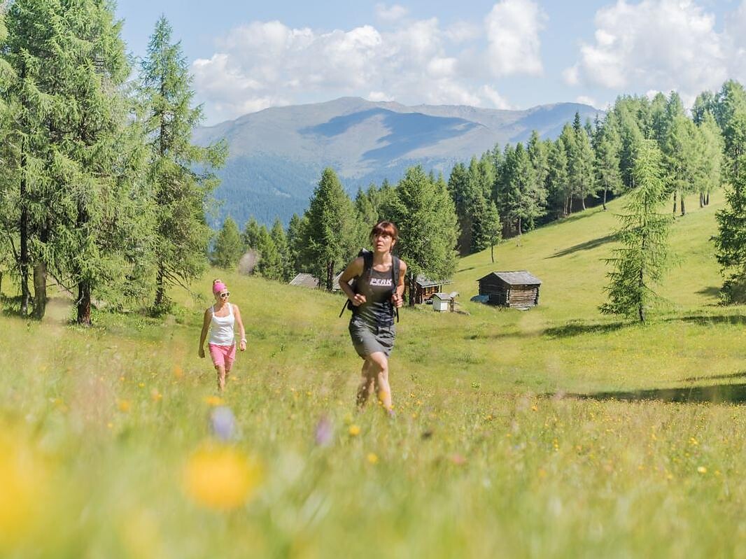 Alpine tour: Western "Gsell"