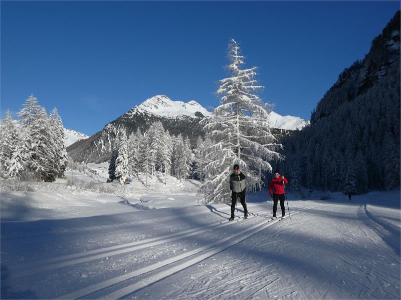 Slittare, sciare, sci di fondo, passeggiate invernali, sci alpinismo ...
