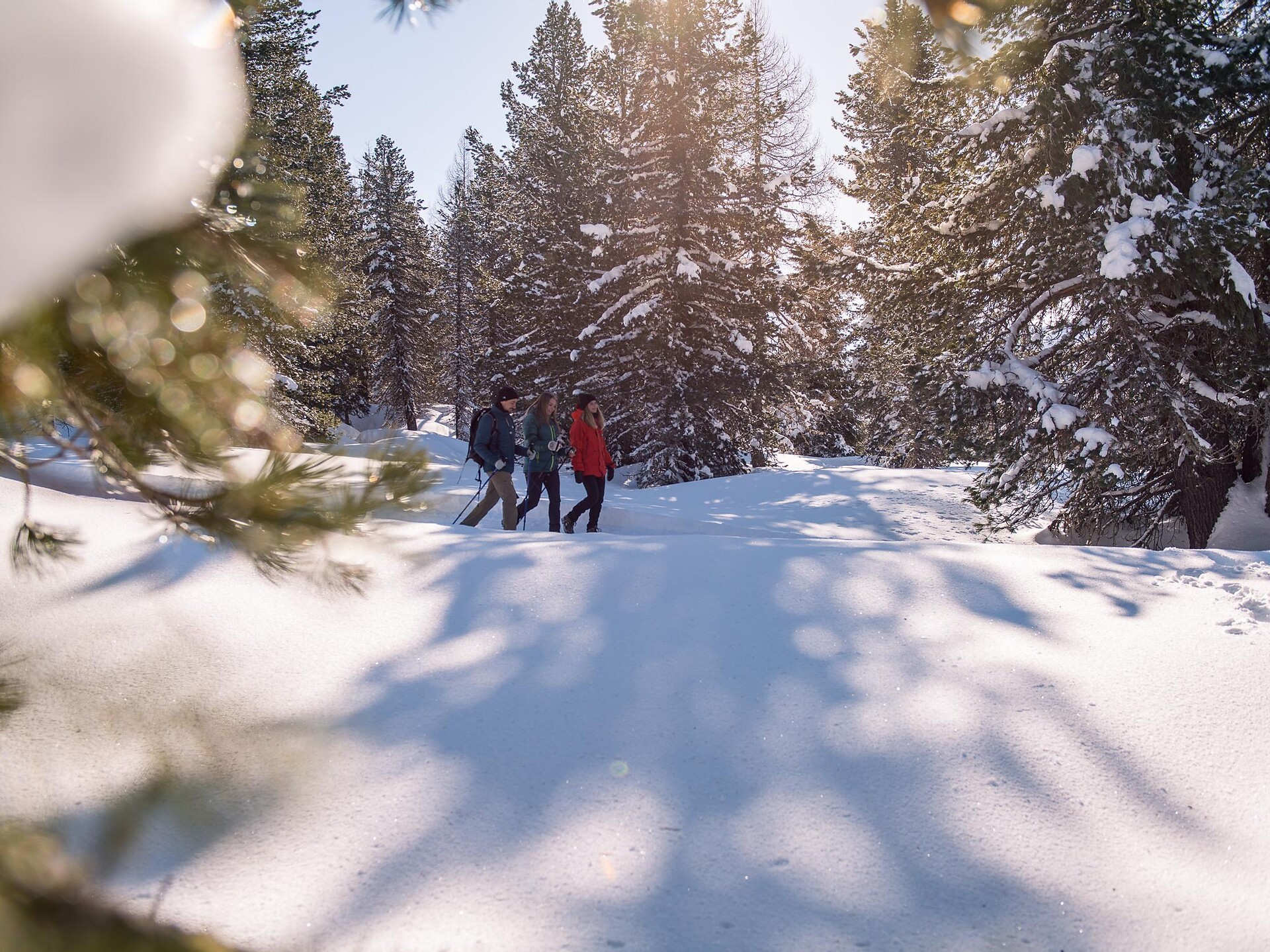 Winterwanderung Untergasse - Lärcha - Niederdorf