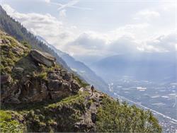 For Flower Lovers: the Venosta Valley High Mountain Trail
