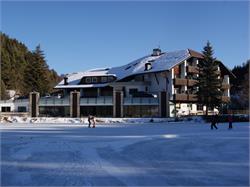 Hotel am Wolfsgrubenersee