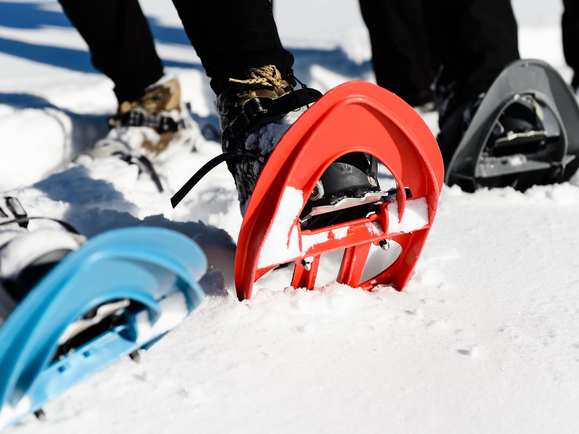 Schneeschuhwanderung zum Häusler Sam