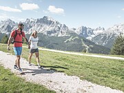 Mountain Pasture Hike