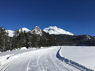 Buffalora cross-country ski trail