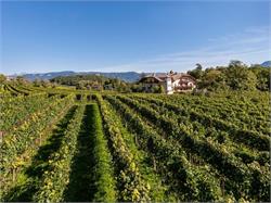 Wine-growing estate Stroblhof