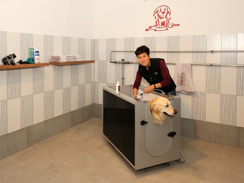 Stazione di lavaggio per i cani