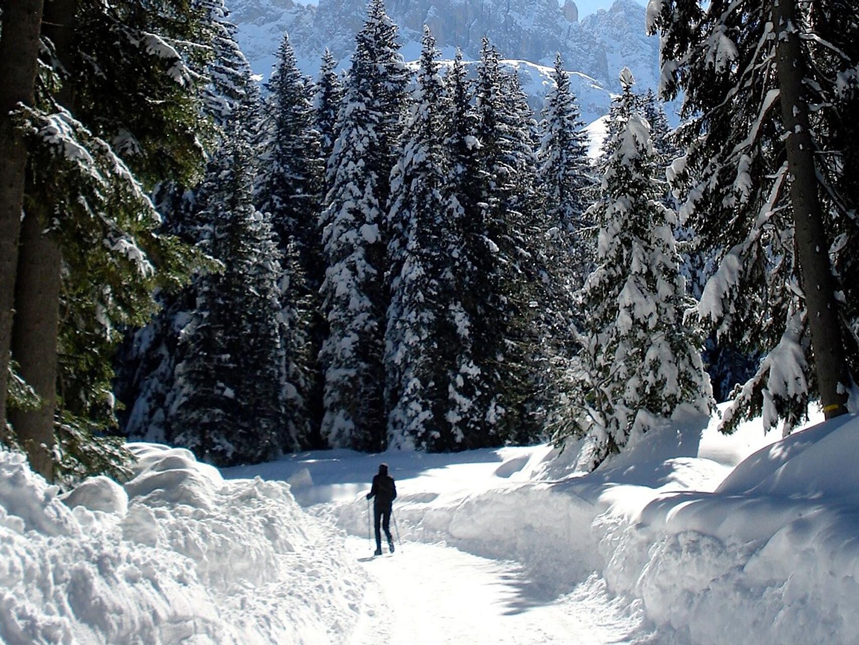 Escursione invernale in Val Ciamin 