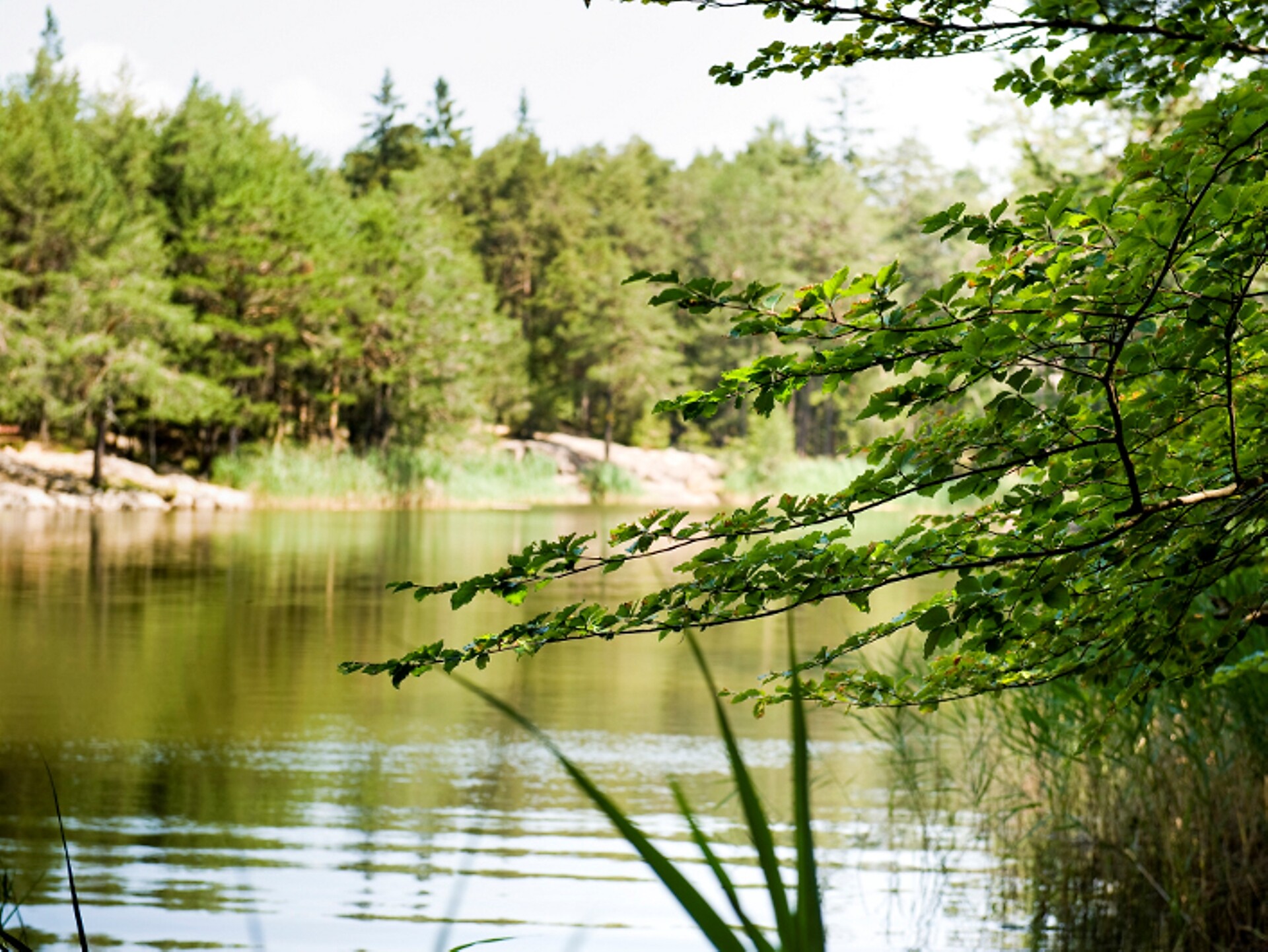 Lago Göller