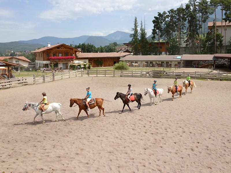 Equestrian Farm Unterlanzin