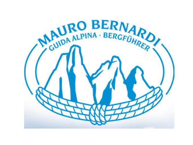 Mauro Bernardi