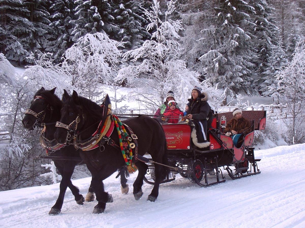 Horse-drawn sleigh rides