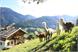 Urlaub auf dem Bauernhof, Rauchegg, Ultental, Südtirol