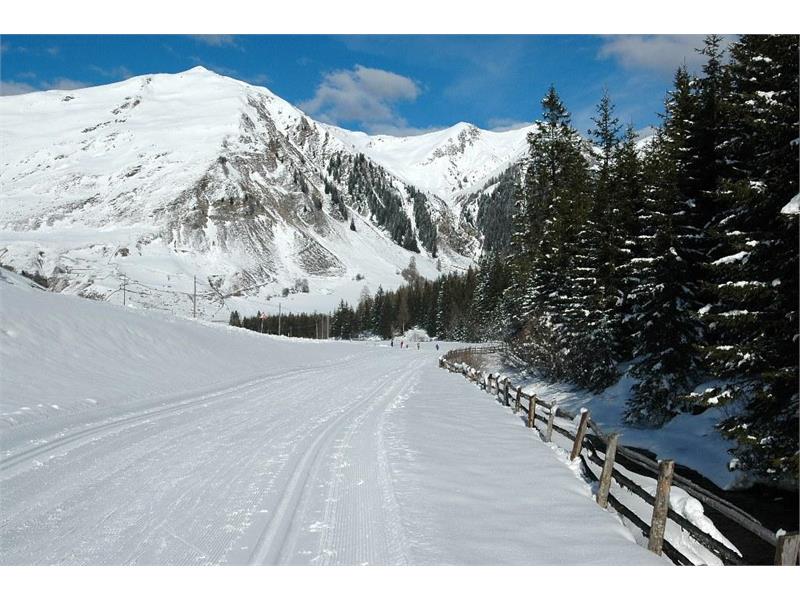 Sci da fondo in Val di Pennes, Val Sarentino, Alto Adige