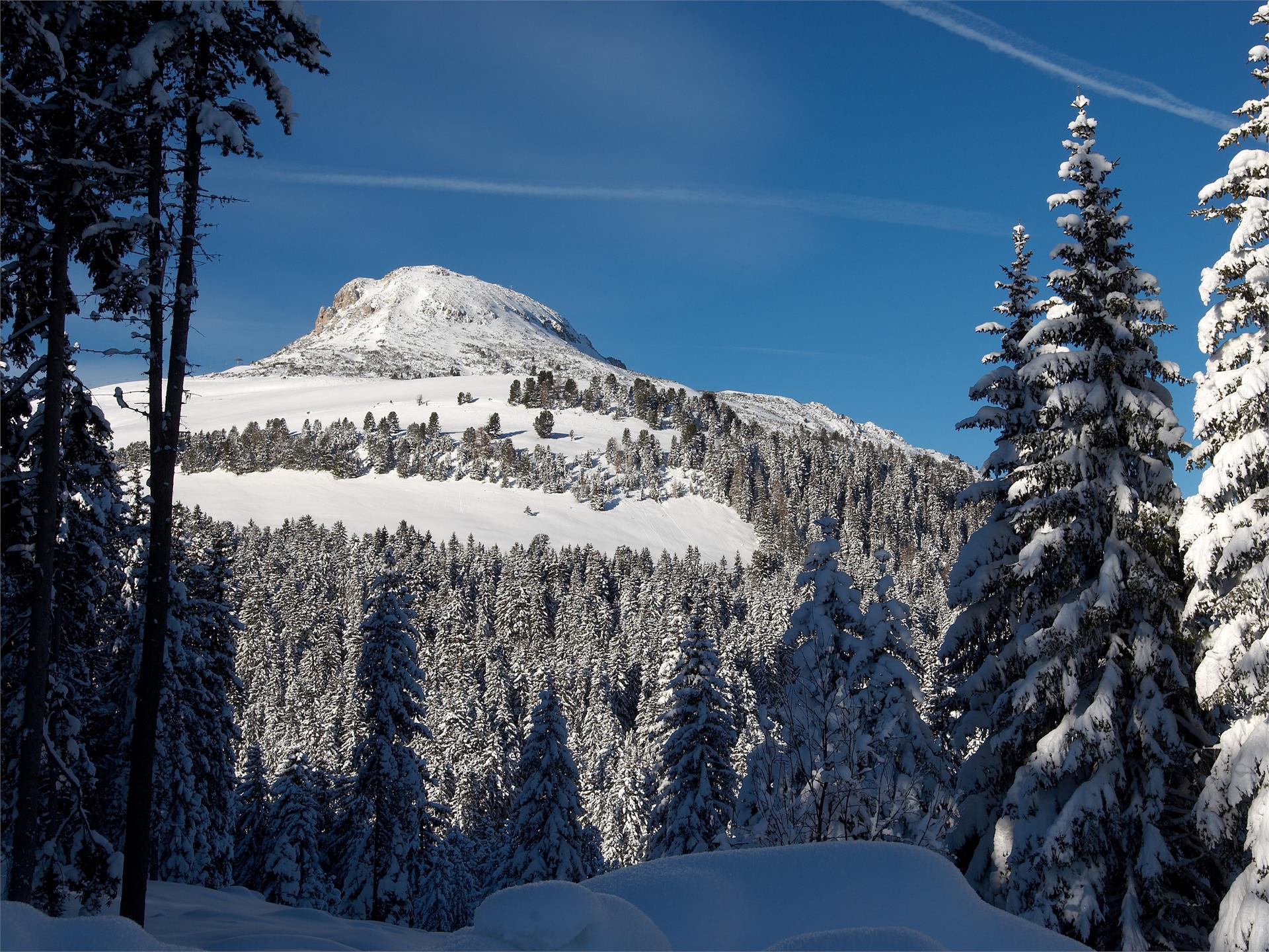 Aldein-Alpine pastures winter hiking tour 