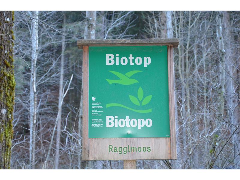 Biotop Ragglmoos