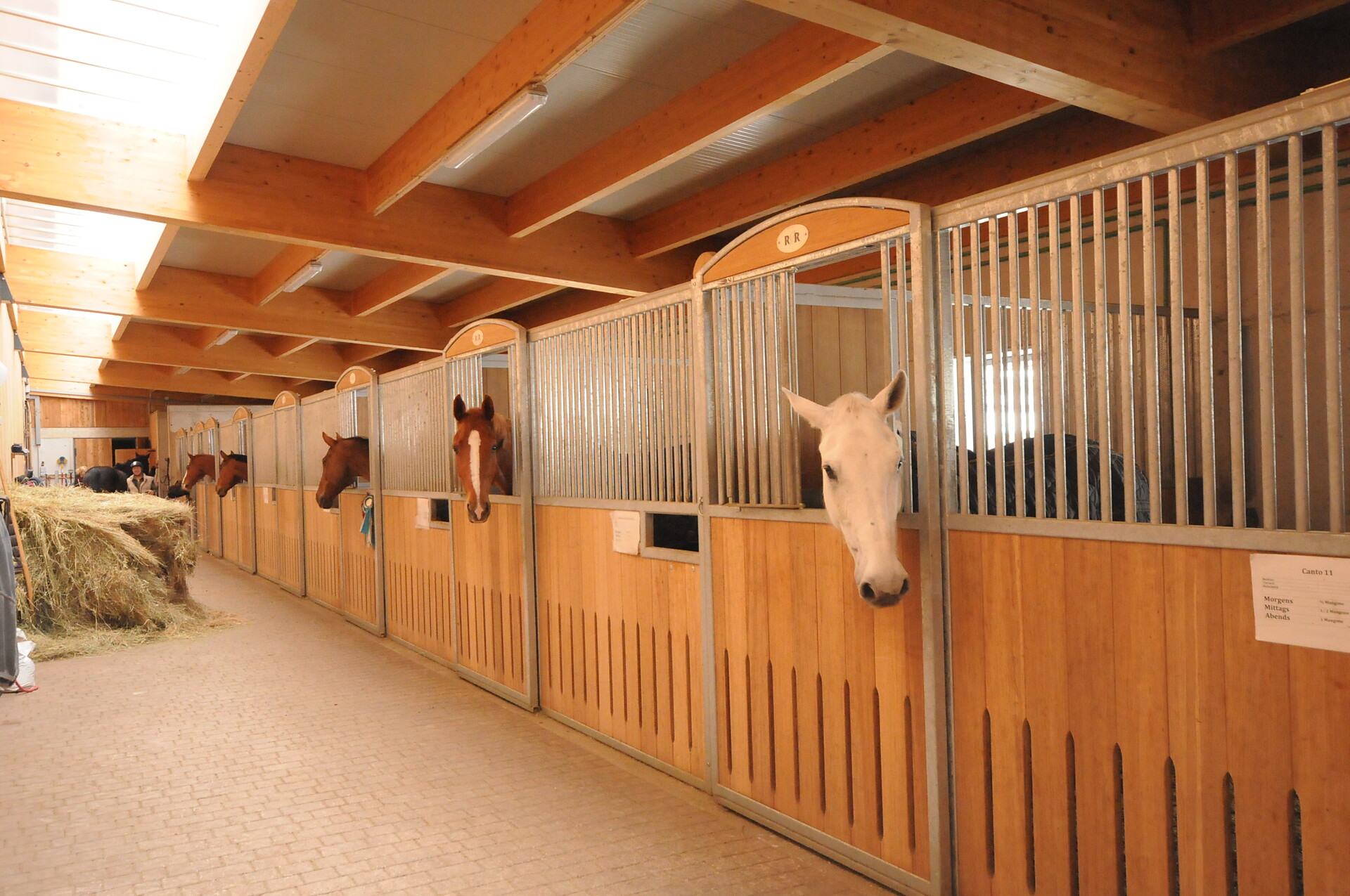 Riding stable "Steinwandterhof"
