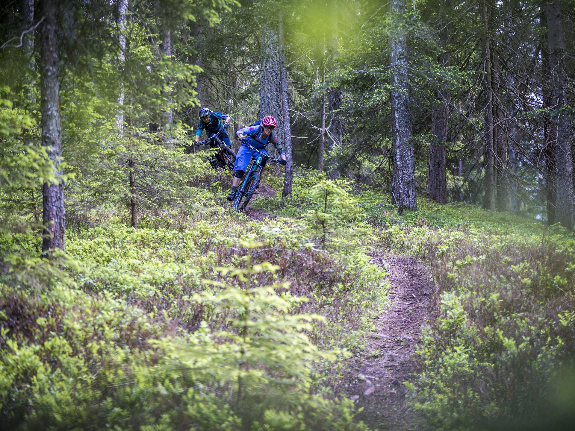 MTB Tour Lachwiesenhütte - Vierschachberg