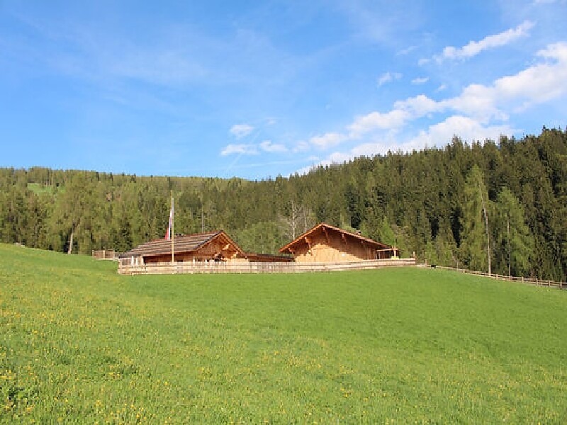 Paese Meltina - Malga Lingeralm