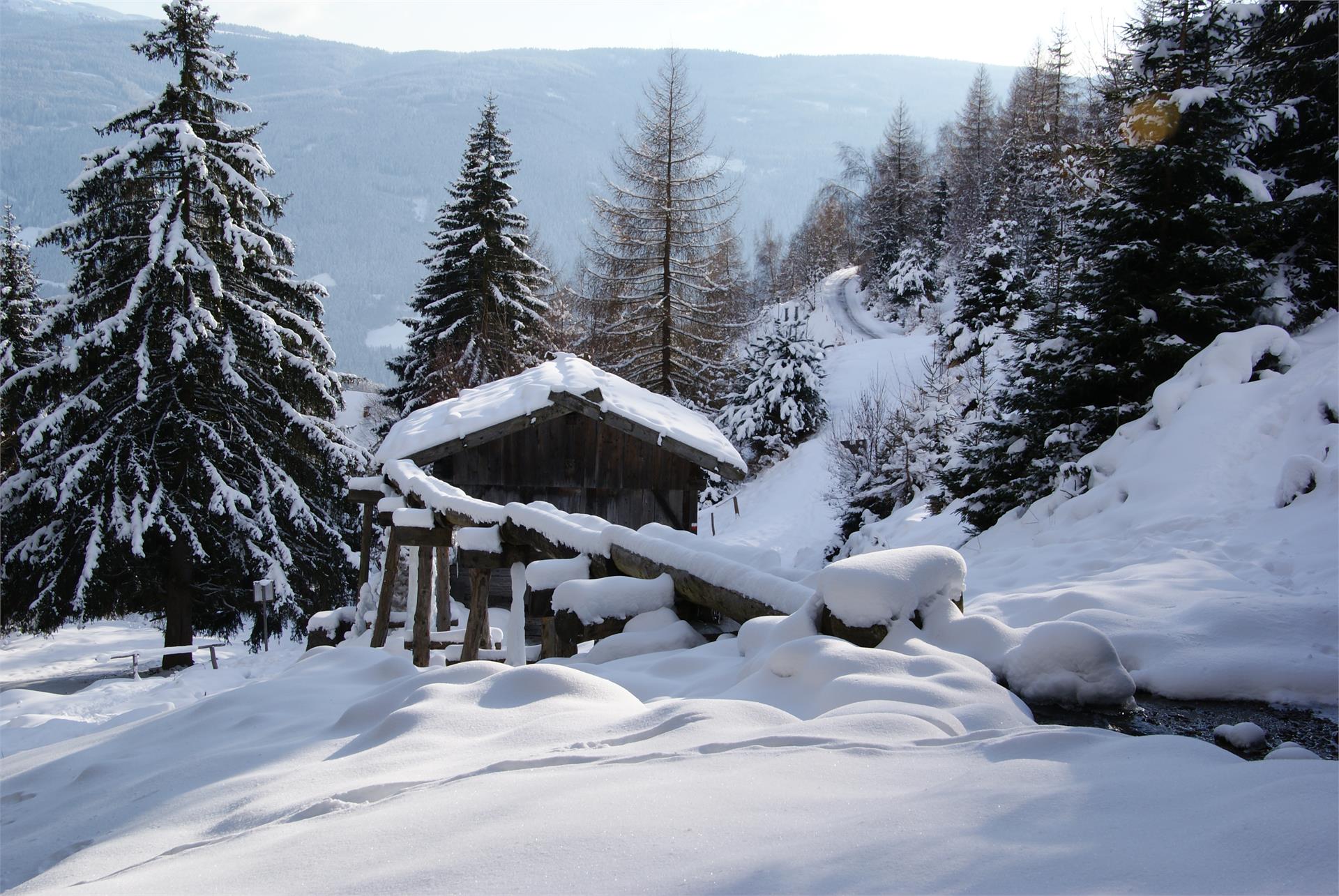 Gols - Natursolarien Winter