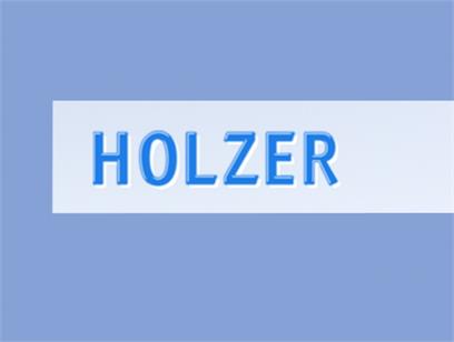 Holzer Coachservice Bus Company Sesto Sexten