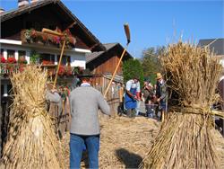 Festa del contadino con mercatino