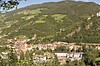 Rotwild