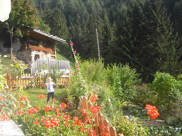 garden and antic oven