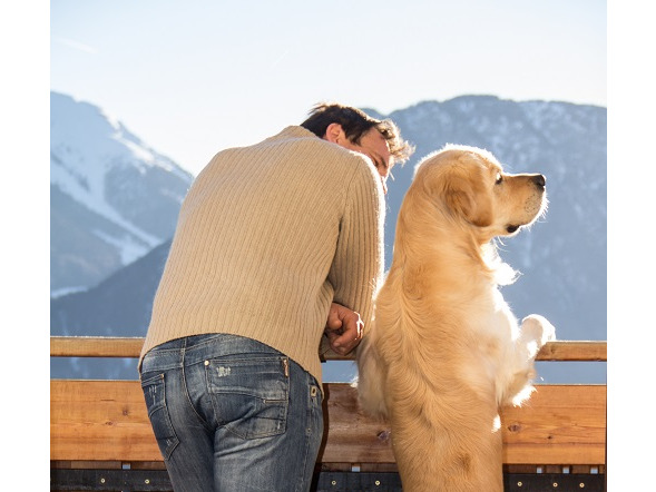 Benvenuto ai cani