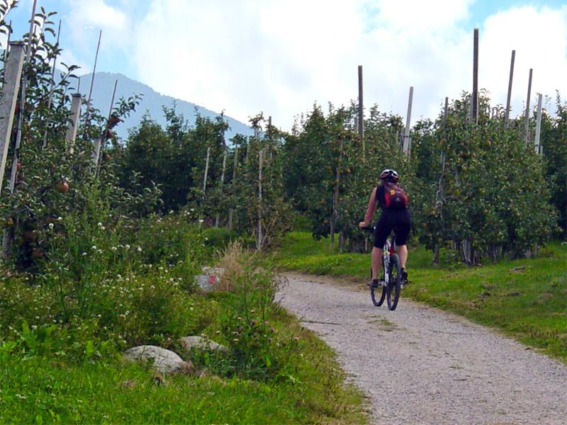 Cycling in Natz-Schabs
