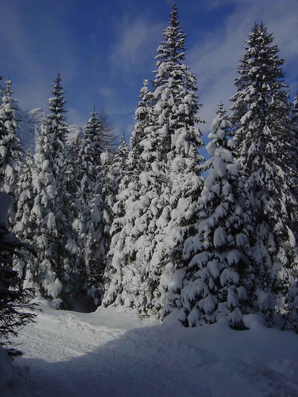 Escursione invernale - Moso - Passo Monte Croce