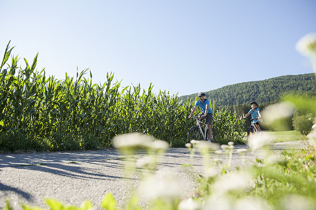Fahrradroute Pustertal: Etappe Innichen - Lienz (A)