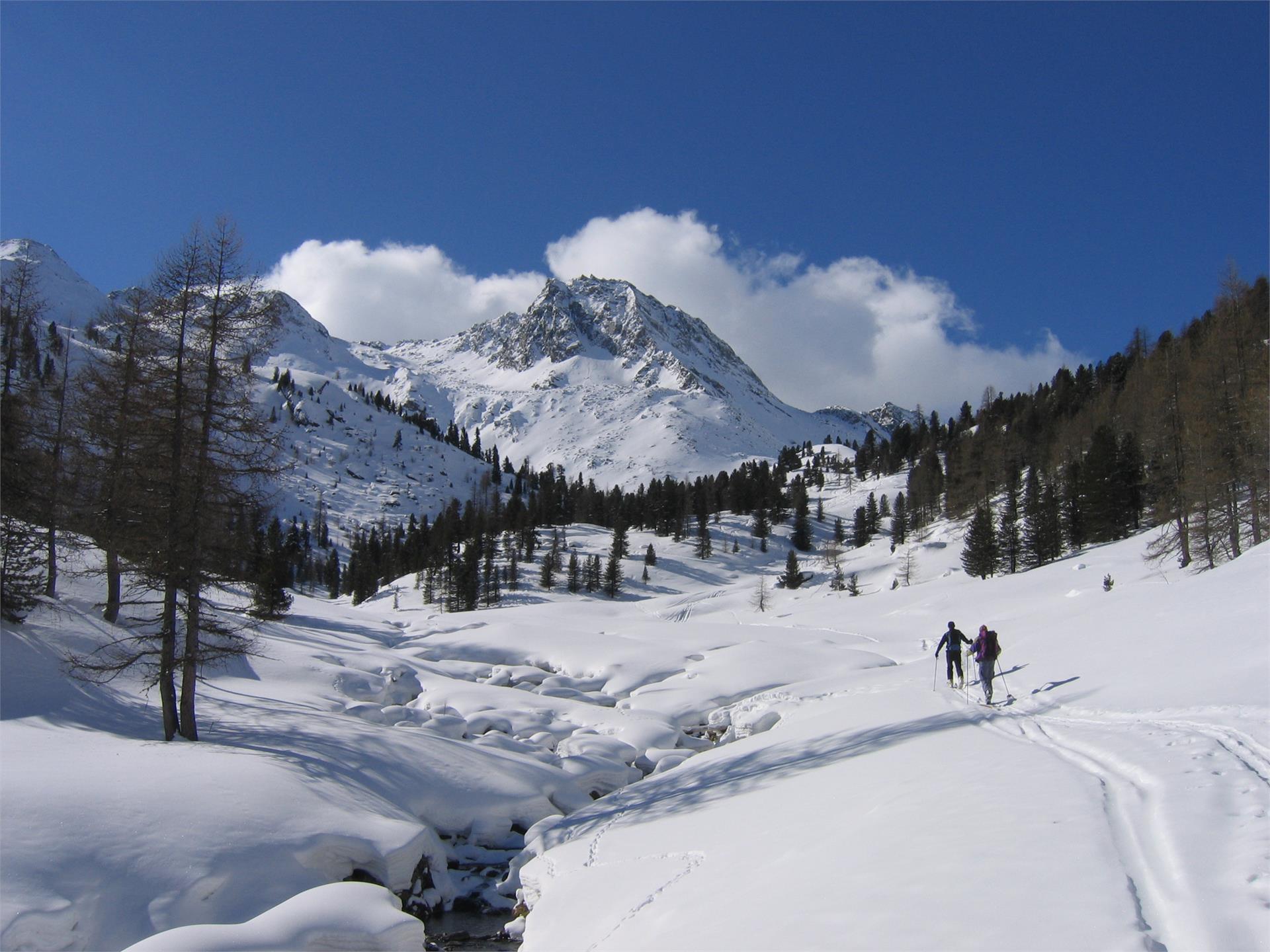 Skitour zur Vermoispitze
